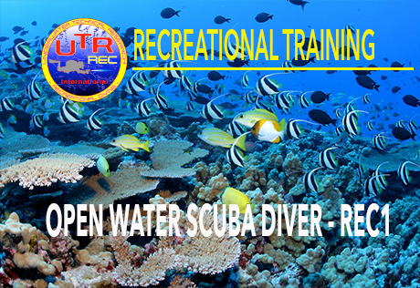 Open Water Scuba Diver - REC 1