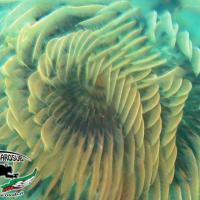 IMG_0192bb