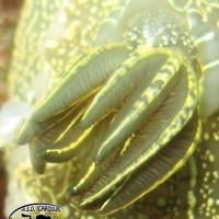 IMG_0202b